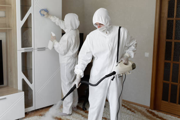 24/7 Emergency Odor Removal experts in Flat Rock, MI